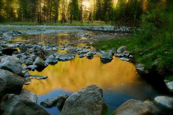 Sheepeater Hot Springs - Photo 2