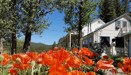 Sierra Hot Springs - Photo 6