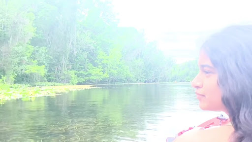 Silver Springs State Park - Photo 2
