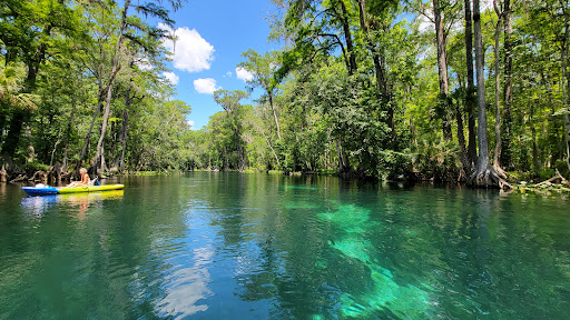 Silver Springs State Park