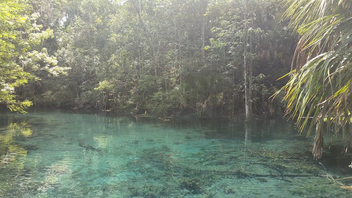 Silver Springs State Park - Photo 8