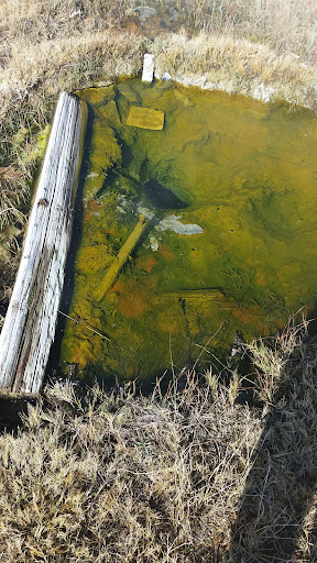 Smith Creek Valley Hot Springs - Photo 4