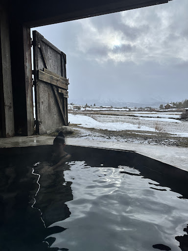 Snake Pit Hot Springs - Photo 4