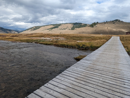Snake Pit Hot Springs - Photo 8