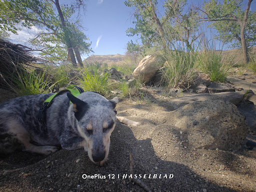Snively Hot Springs - Photo 1