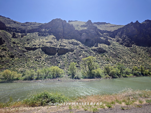 Snively Hot Springs - Photo 5