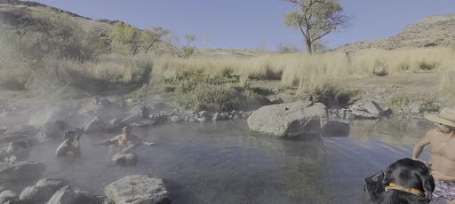 Snively Hot Springs - Photo 8