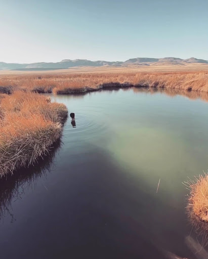 Soldier Meadows Hot Spring - Photo 2