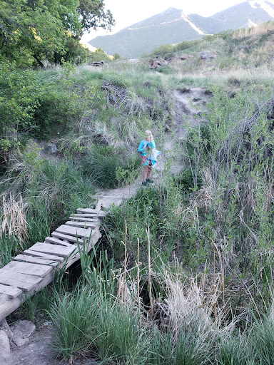 South Canyon Hot Springs - Photo 6