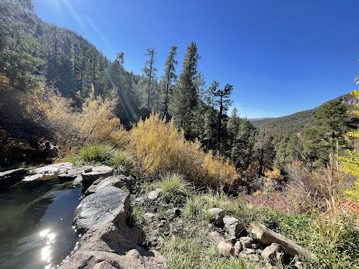 Spence Hot Springs - Photo 4