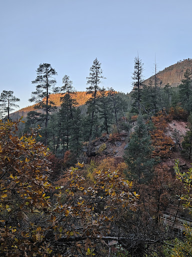 Spence Hot Springs - Photo 5