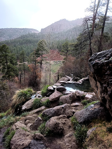 Spence Hot Springs - Photo 6