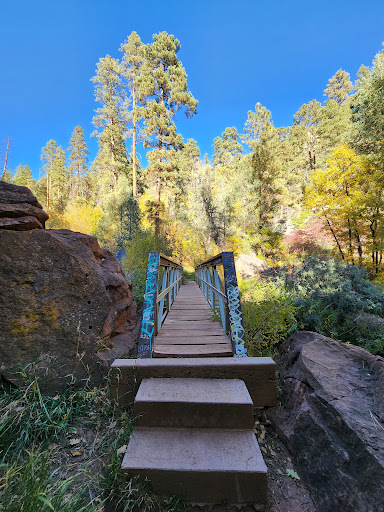 Spence Hot Springs - Photo 7