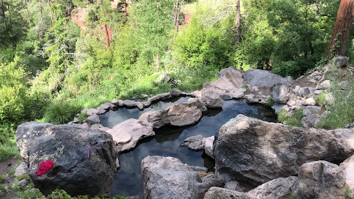 Spence Hot Springs - Photo 8