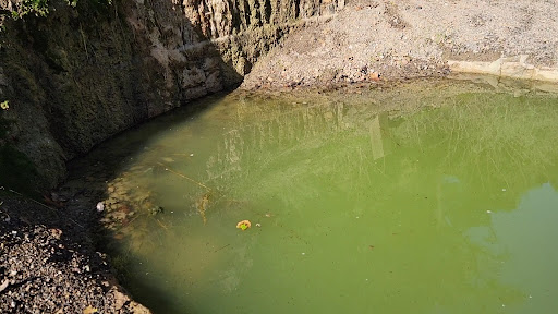 Stewart Mineral Hot Springs