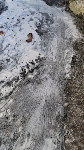 Stewart Mineral Hot Springs - Photo 3