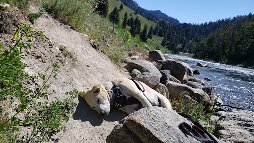 Sunbeam Hot Springs - Photo 3