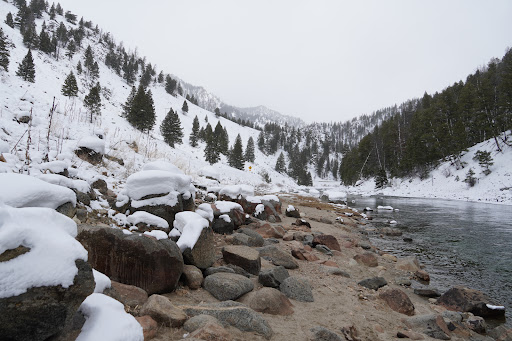 Sunbeam Hot Springs - Photo 6
