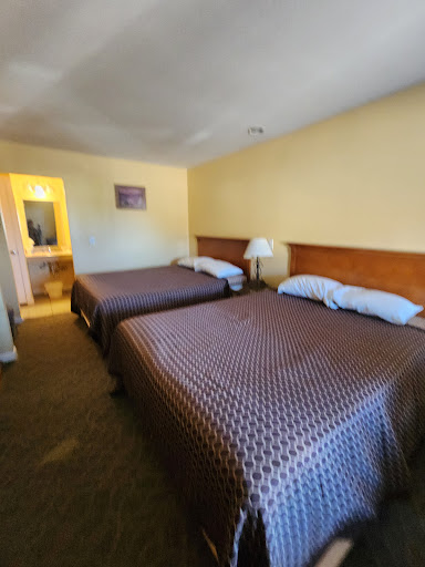 Tecopa Mud Hot Springs - Photo 3