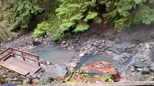 Terwilliger Hot Springs