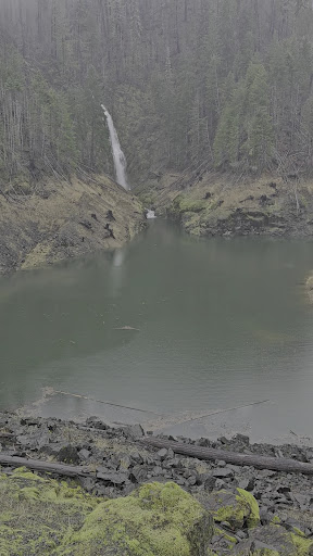 Terwilliger Hot Springs - Photo 2