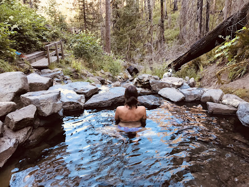 Terwilliger Hot Springs - Photo 4