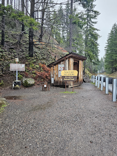 Terwilliger Hot Springs - Photo 6