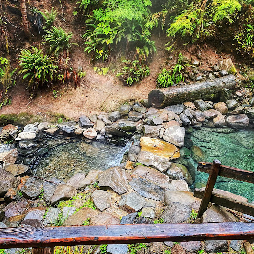 Terwilliger Hot Springs - Photo 7