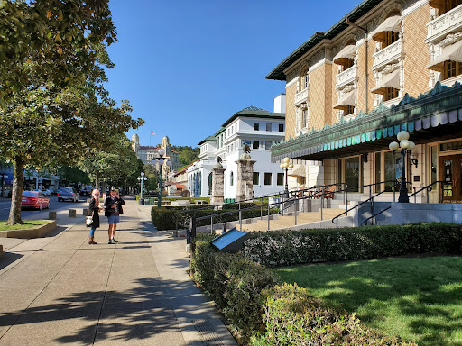 The Quapaw Baths and Spa - Photo 5
