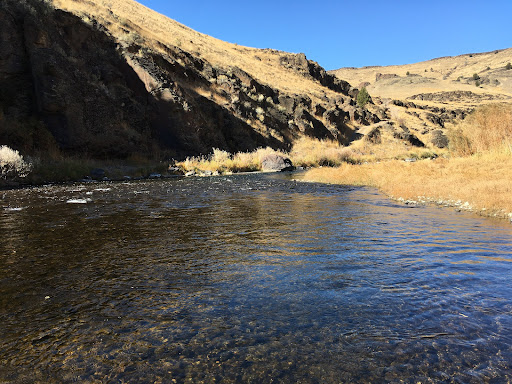 Three Forks Hot Spring - Photo 8