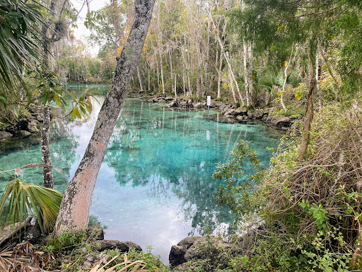Three Sisters Springs