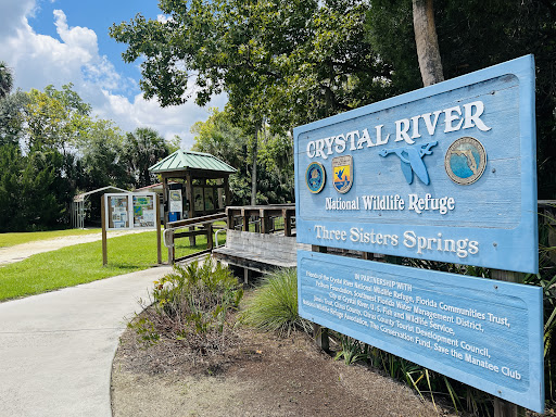 Three Sisters Springs - Photo 3
