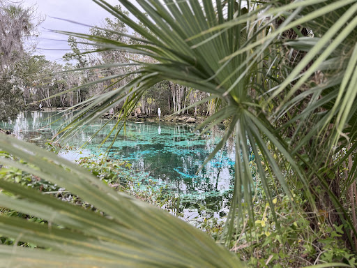 Three Sisters Springs - Photo 5