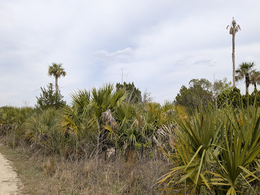 Three Sisters Springs - Photo 7