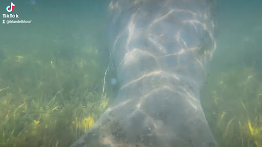 Three Sisters Springs - Photo 8