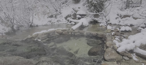 Trail Creek Hot Springs - Photo 2