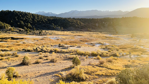 Travertine Hot Springs - Photo 5