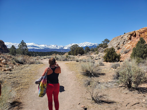 Travertine Hot Springs - Photo 7
