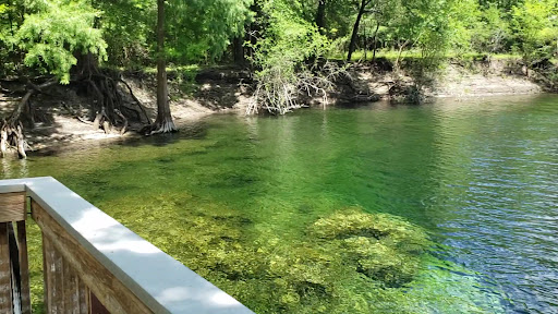 Troy Spring State Park - Photo 2
