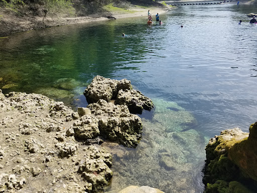 Troy Spring State Park - Photo 4