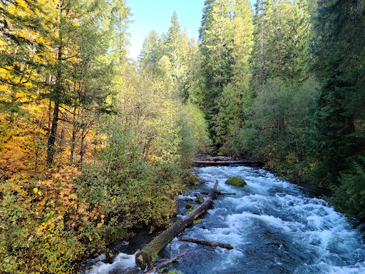 Umpqua Hot Springs - Photo 1