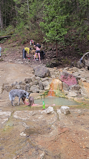 Umpqua Hot Springs - Photo 2