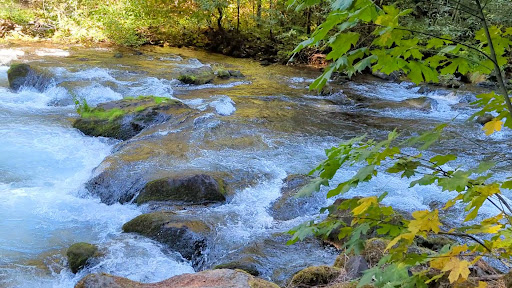 Umpqua Hot Springs - Photo 8