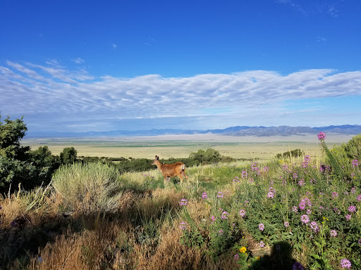 Valley View Hot Springs - Photo 5
