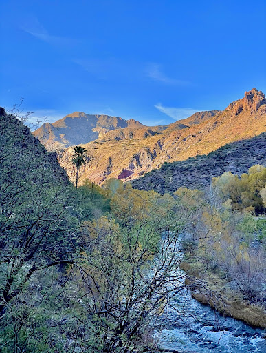 Verde River Hot Springs - Photo 7