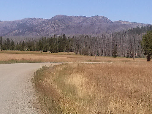 Vulcan Hot Springs - Photo 1
