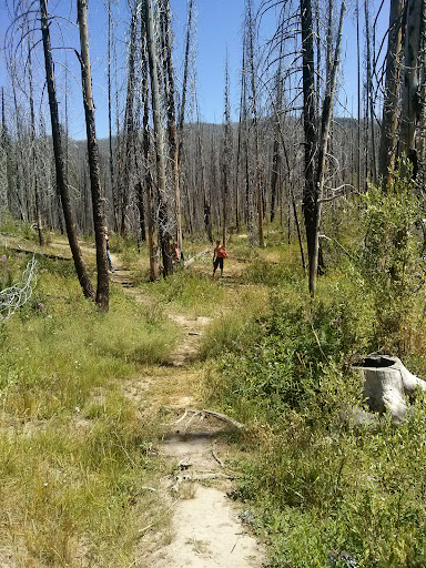 Vulcan Hot Springs - Photo 4