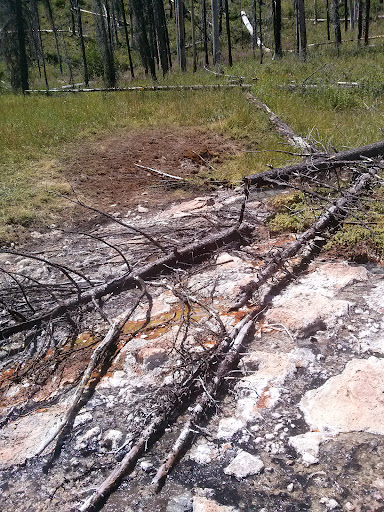 Vulcan Hot Springs - Photo 7