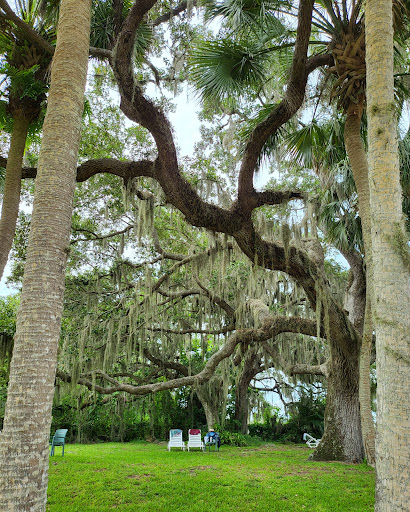 Warm Mineral Springs - Photo 6