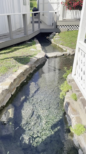 Warm Springs Pools - Photo 2